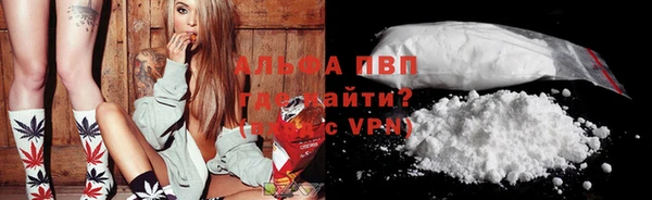трава Белокуриха
