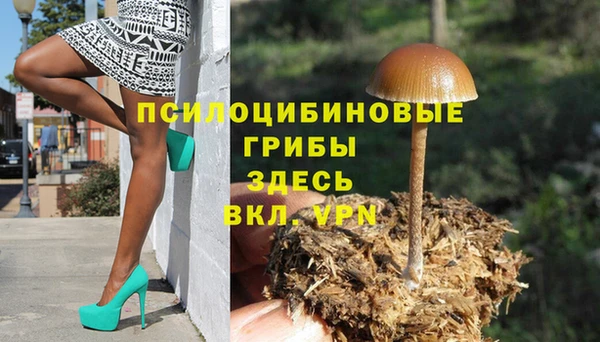 метадон Беломорск