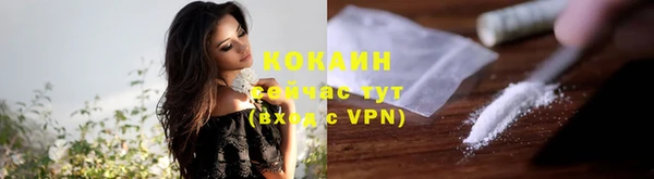 трава Белокуриха
