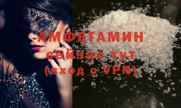 трава Белокуриха