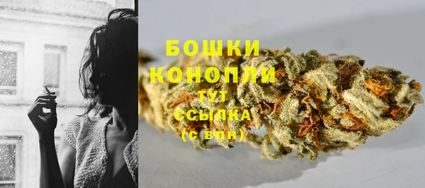 трава Белокуриха