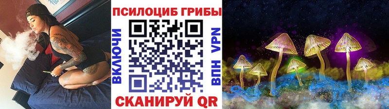 Псилоцибиновые грибы Psilocybe  Городище 